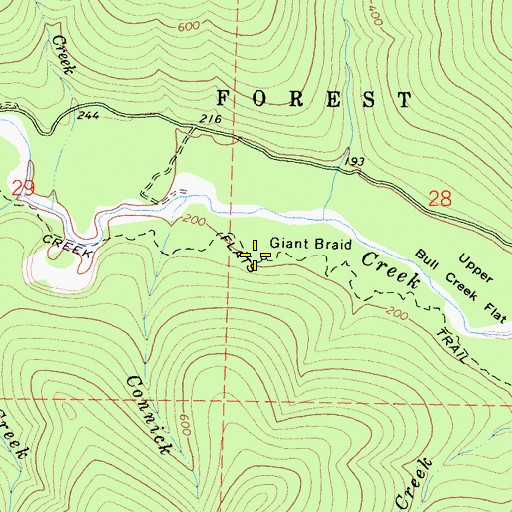 Topographic Map of Giant Braid, CA