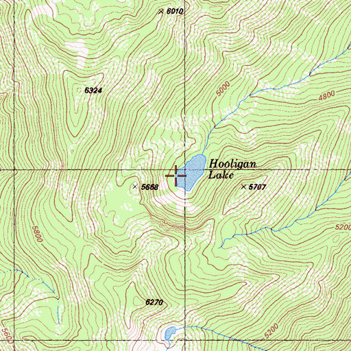 Topographic Map of Hooligan Lake, CA