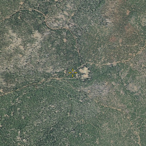Aerial/Satellite Image of Houseman Camp Reservoir, CA