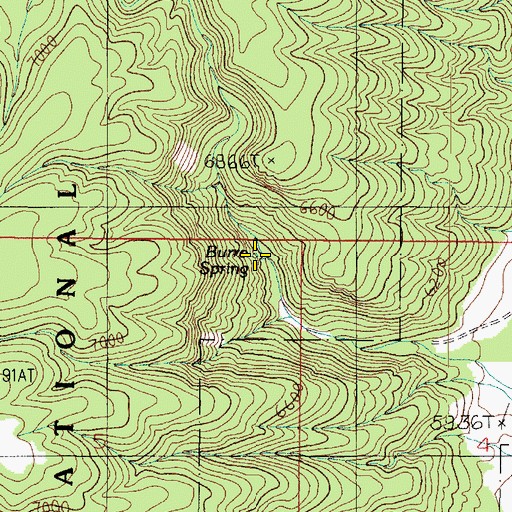Topographic Map of Burro Spring, AZ