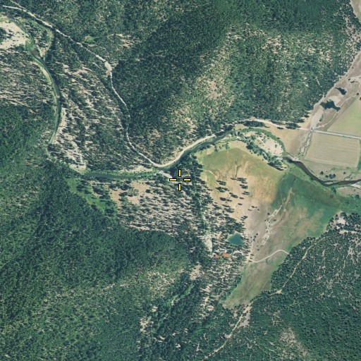 Aerial/Satellite Image of Little Grizzly Creek, CA