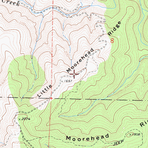 Topographic Map of Little Moorehead Ridge, CA