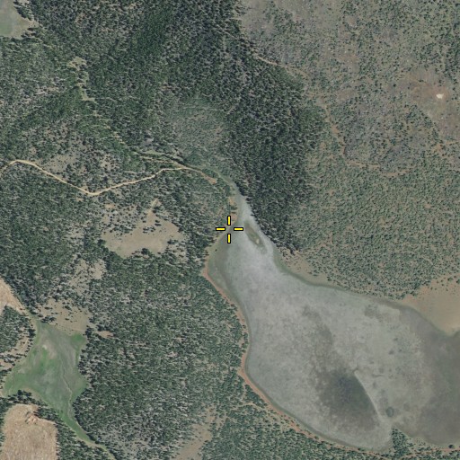 Aerial/Satellite Image of Long Valley, CA