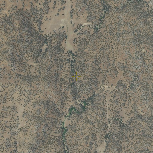 Aerial/Satellite Image of Long Valley, CA