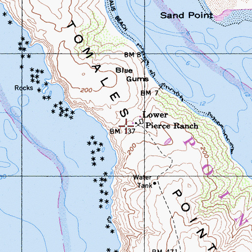 Topographic Map of Lower Pierce Ranch, CA