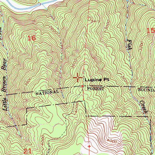 Topographic Map of Lupine Point, CA