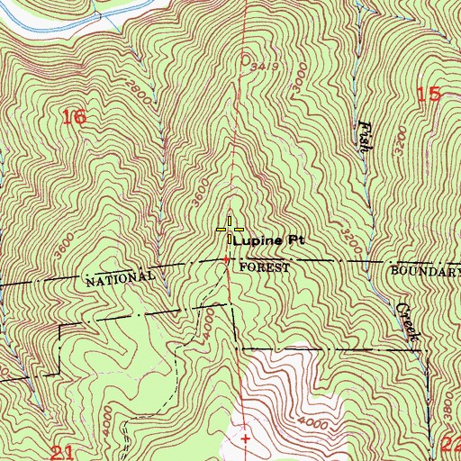 Topographic Map of Lupine Point, CA