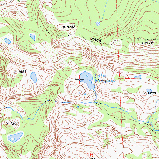 Topographic Map of Lake Margaret, CA