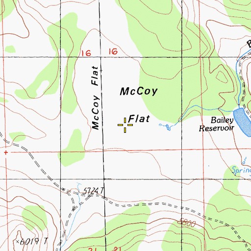 Topographic Map of McCoy Flat, CA