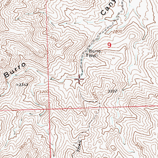 Topographic Map of Burro and Cottonwood Well, AZ