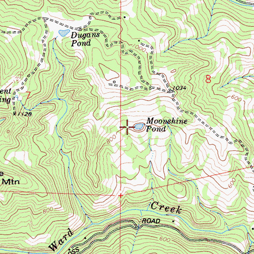 Topographic Map of Moonshine Pond, CA