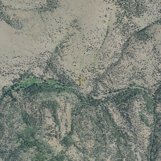 Aerial/Satellite Image of Niles Cabin, CA