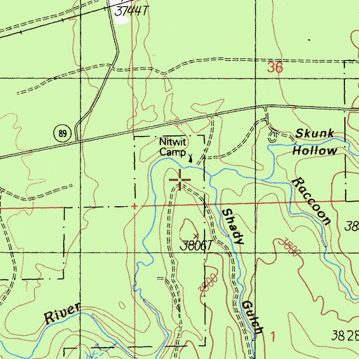 Topographic Map of Nitwit Camp, CA