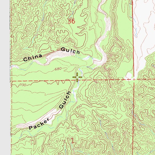 Topographic Map of Packer Gulch, CA