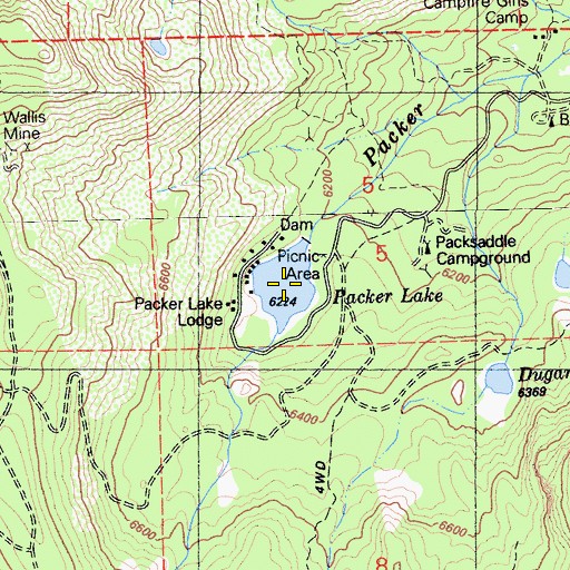 Topographic Map of Packer Lake, CA