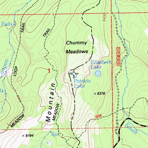 Topographic Map of Patricia Lake, CA