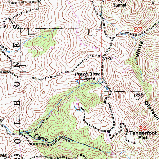 Topographic Map of Peach Tree Springs, CA