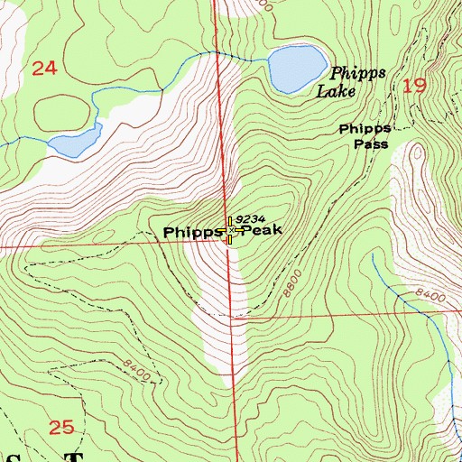Topographic Map of Phipps Peak, CA