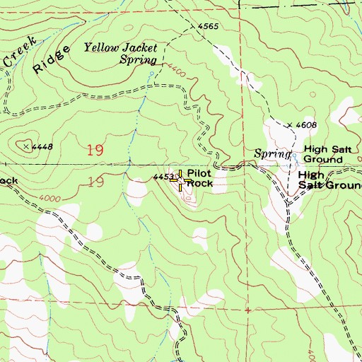 Topographic Map of Pilot Rock, CA