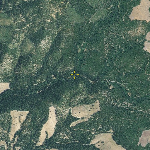 Aerial/Satellite Image of Pine Creek, CA