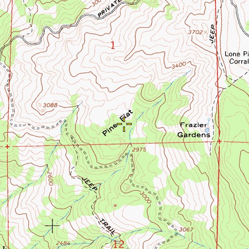 Topographic Map of Pine Flat, CA