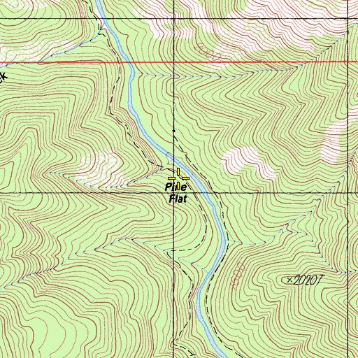 Topographic Map of Pine Flat, CA
