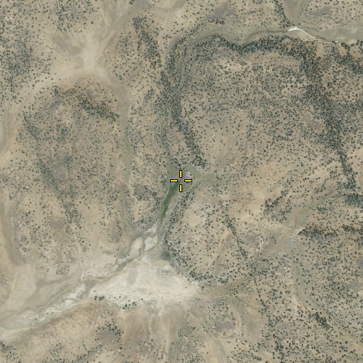Aerial/Satellite Image of Pine Spring, CA