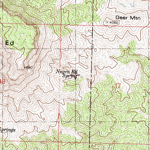 Topographic Map of Negro Ed Spring, AZ