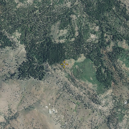 Aerial/Satellite Image of Rattlesnake Butte, CA