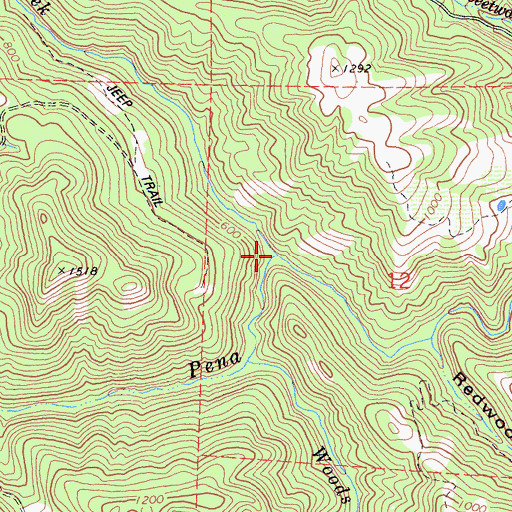 Topographic Map of Redwood Log Creek, CA