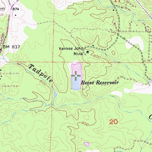 Topographic Map of Reese Reservoir, CA