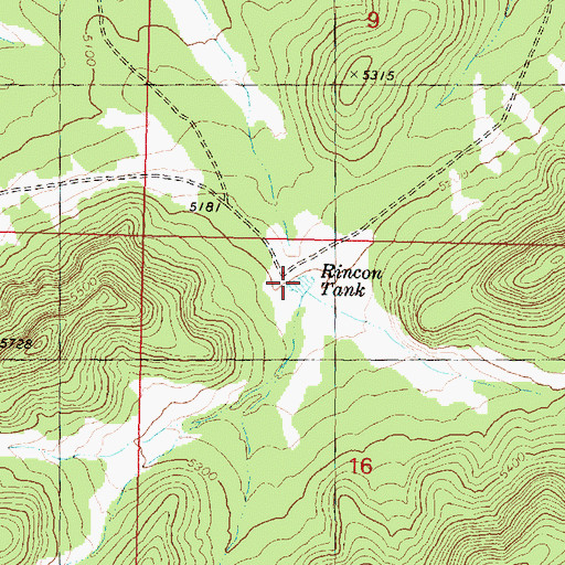 Topographic Map of Rincon Tank, AZ