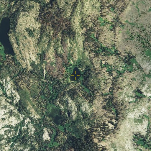 Aerial/Satellite Image of Saddle Lake, CA