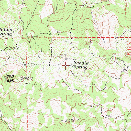 Topographic Map of Saddle Spring, CA