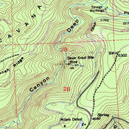 Topographic Map of Sauer Kraut Bite Mine, CA
