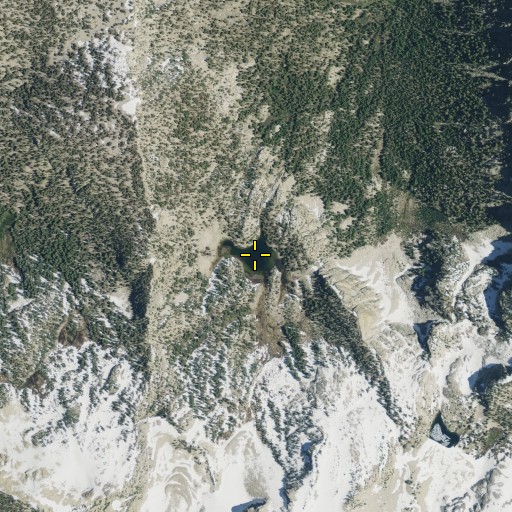 Aerial/Satellite Image of Sharktooth Lake, CA