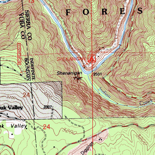 Topographic Map of Shenanigan Flat, CA