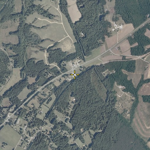 Aerial/Satellite Image of Amelia County Volunteer Fire Department Company 3 Jetersville, VA