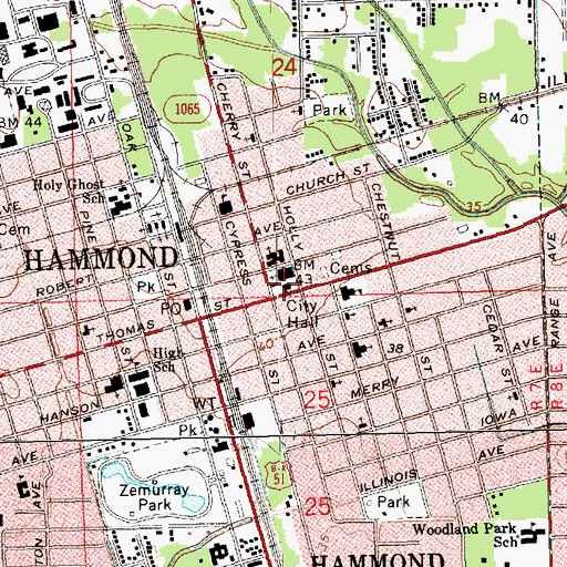 Topographic Map of Hammond Police Department, LA