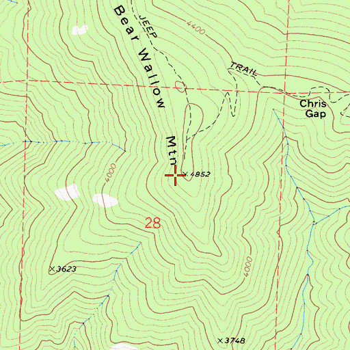 Topographic Map of Bear Wallow Mountain, CA