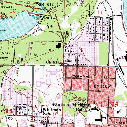 Topographic Map of Ripley Heating Plant, MI