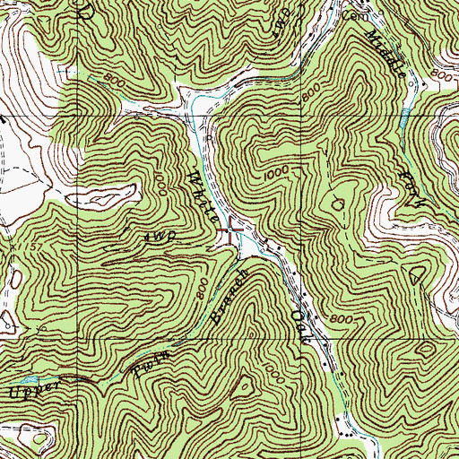 Topographic Map of Lower Twin Branch, KY