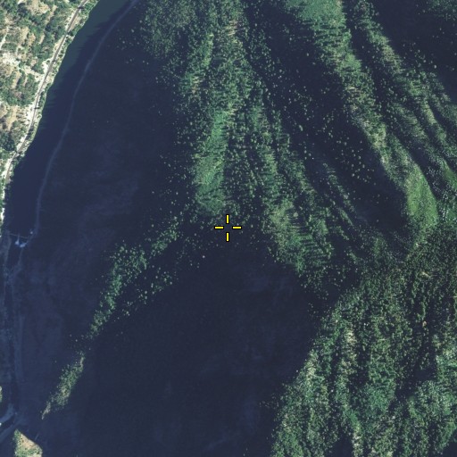 Aerial/Satellite Image of Elephant Butte, CA