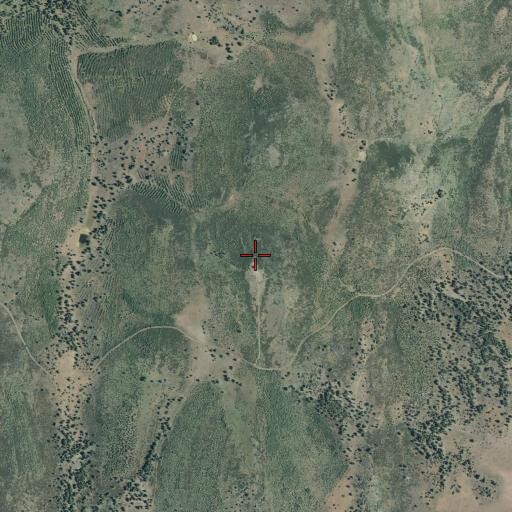 Aerial/Satellite Image of Snag Hill, CA