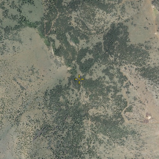 Aerial/Satellite Image of South Knob, CA
