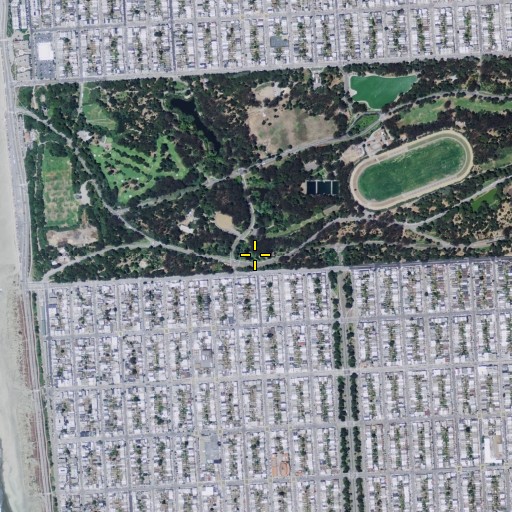 Aerial/Satellite Image of South Lake, CA