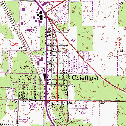 Topographic Map of Luther Callaway Library, FL