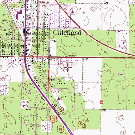 Topographic Map of Chiefland Cemetery, FL