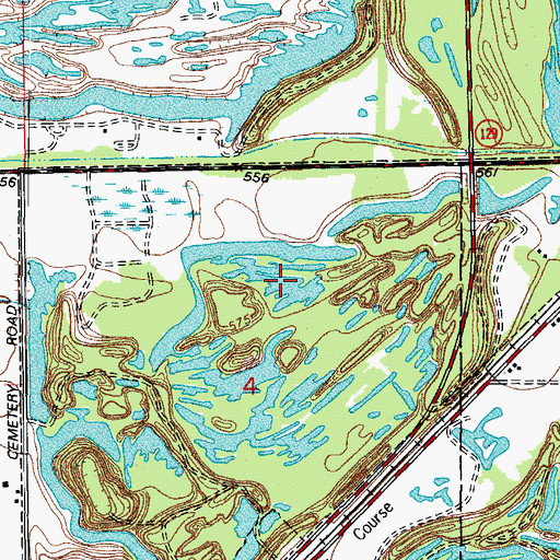 Topographic Map of Third Shadow Lake, IL