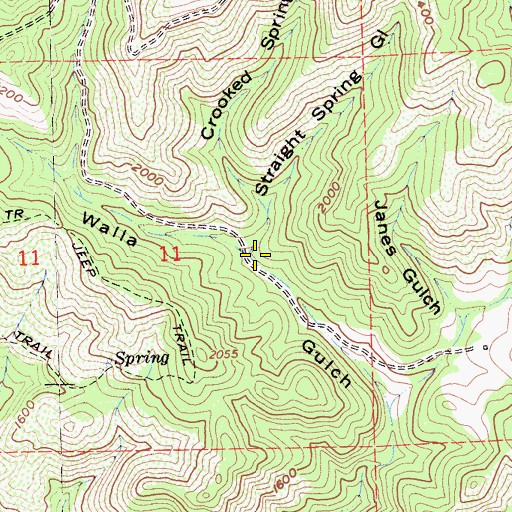 Topographic Map of Straight Spring Gulch, CA